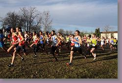 Begles 15.12.13 01 1012 * 679 x 453 * (157KB)